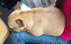 精品人妻无码一区二区三区绿